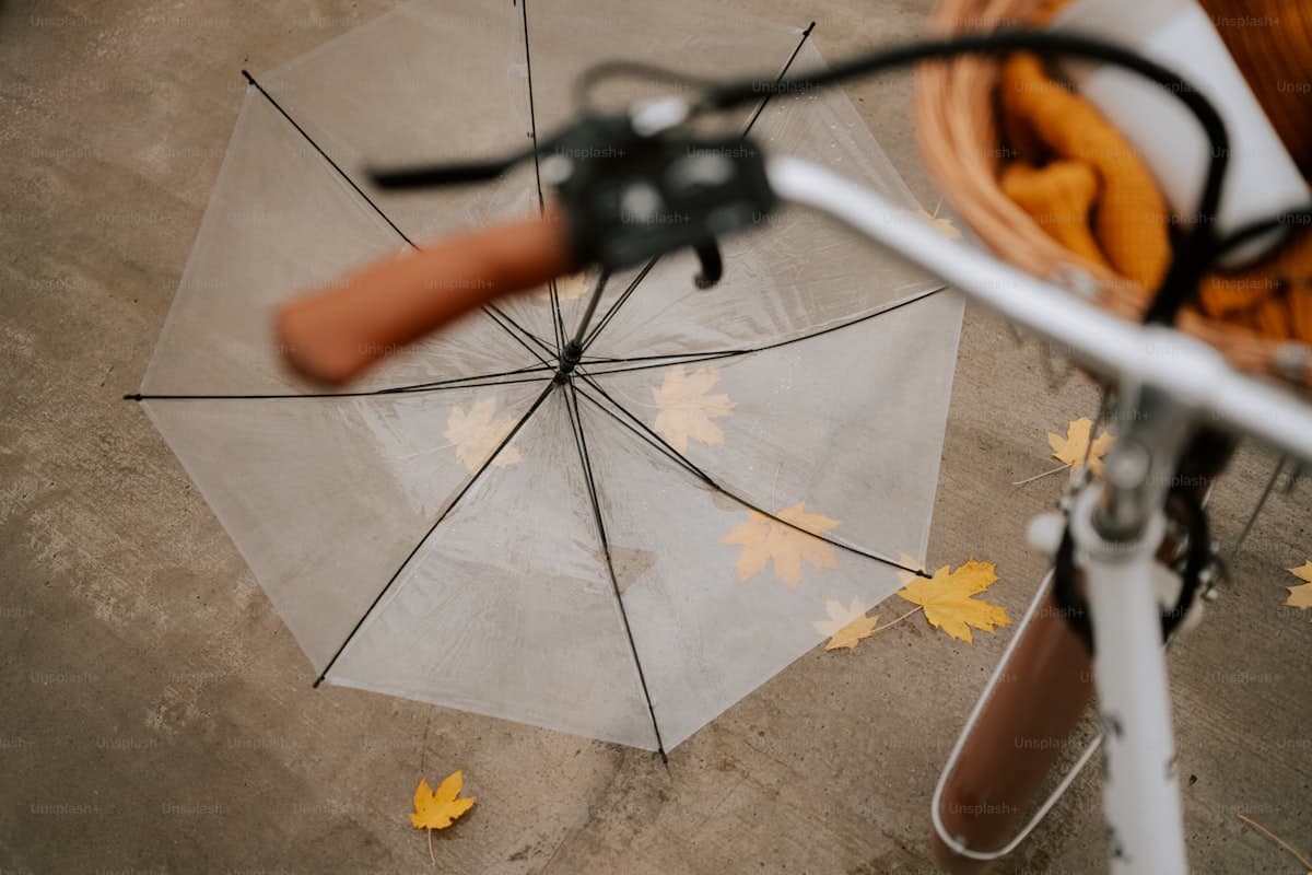 Navneendring og forsikring — Slik oppdaterer du alle polisene dine